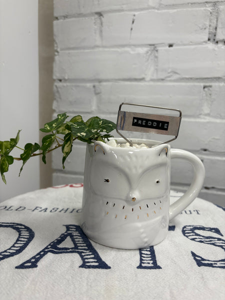 Elaine’s Retro Plants more & more & more & more