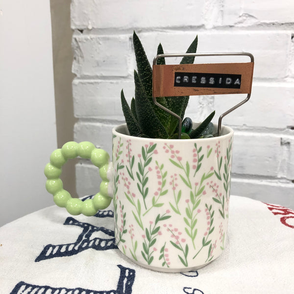 Elaine’s Retro Plants more & more & more & more