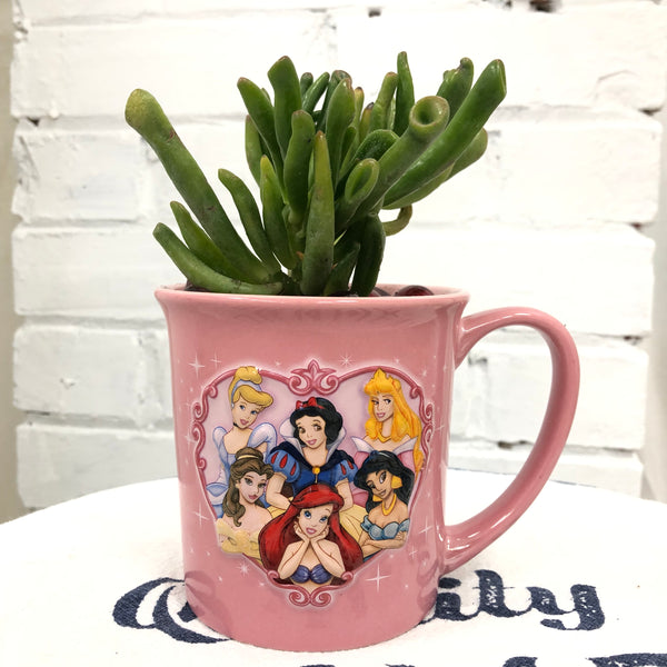 Elaine’s Retro Plants more & more & more & more