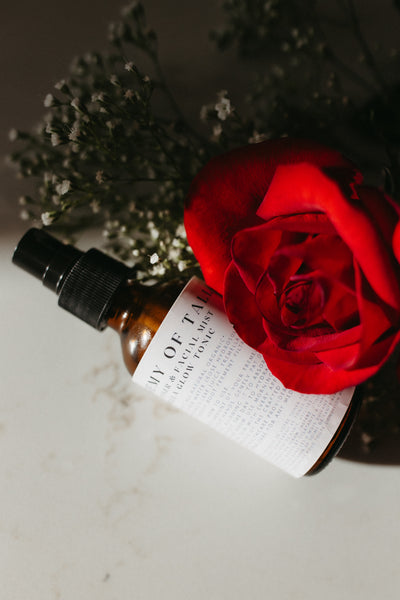 The Alchemy of Tallow-Skin Care Line