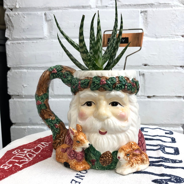 Elaine’s Retro Plants more & more & more