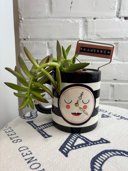 Elaine’s Retro Plants more & more & more & more