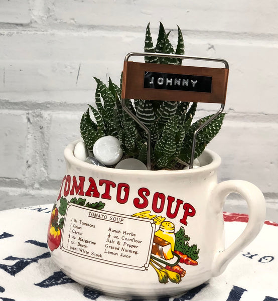 Elaine’s Retro Plants more & more & more