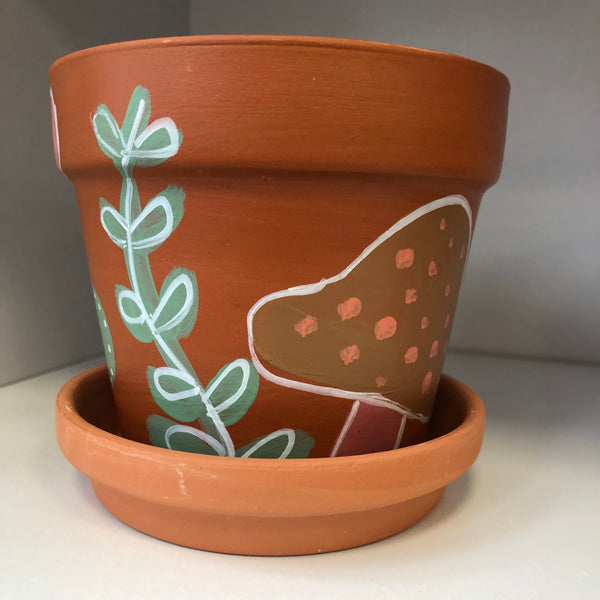 Terracotta Pot/Various Pot