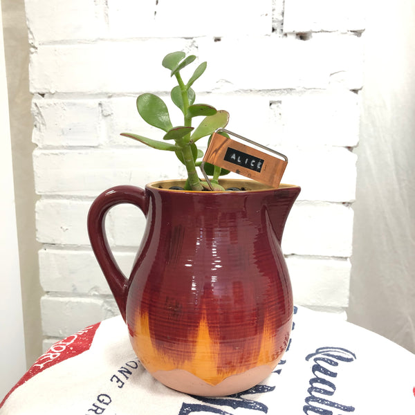 Elaine’s Retro Plants more & more & more & more