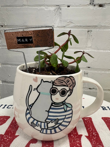 Elaine’s Retro Plants more & more & more & more