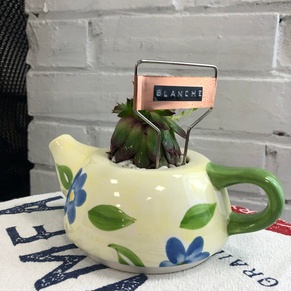 Elaine’s Retro Plants more & more