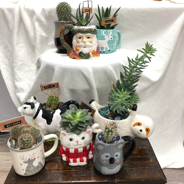 Elaine’s Retro Plants more & more & more