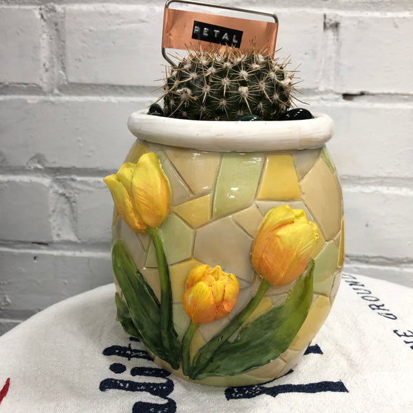 Elaine’s Retro Plants more & more