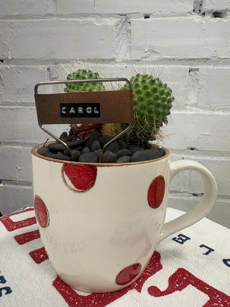 Elaine’s Retro Plants more & more & more & more