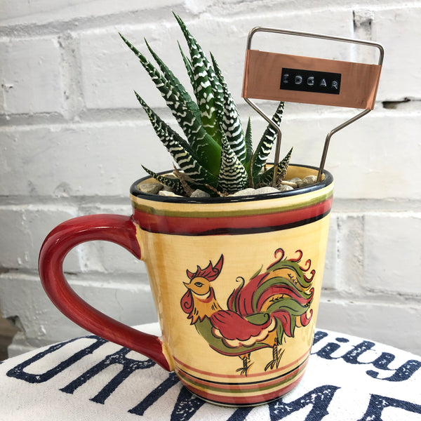Elaine’s Retro Plants more