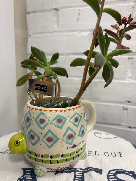 Elaine’s Retro Plants more & more & more & more