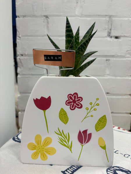 Elaine’s Retro Plants more & more & more & more