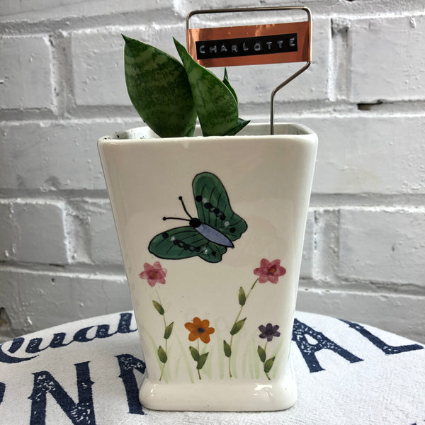 Elaine’s Retro Plants more