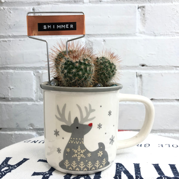 Elaine’s Retro Plants more & more & more