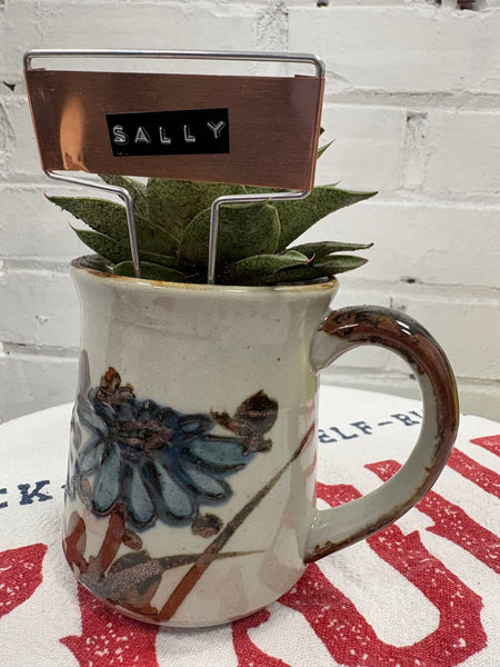 Elaine’s Retro Plants more & more & more & more