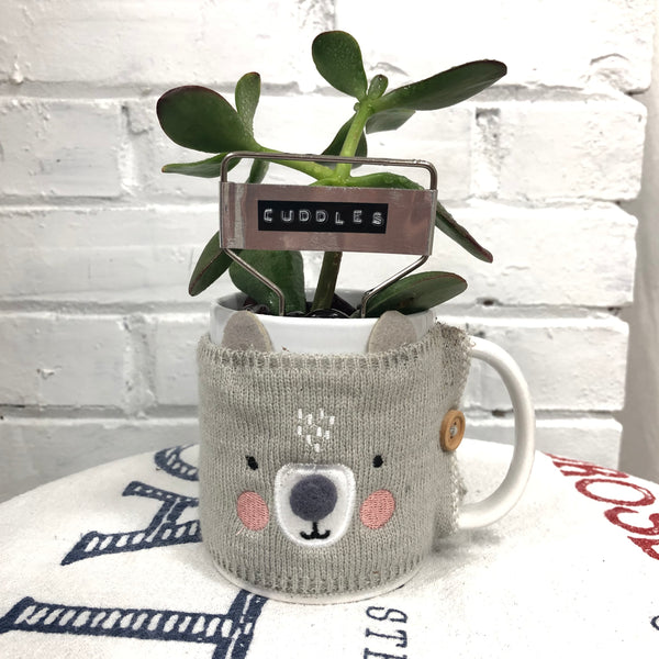 Elaine’s Retro Plants more & more & more & more
