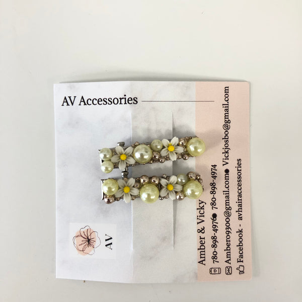 AV Accessories