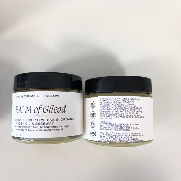 The Alchemy of Tallow-Skin Care Line