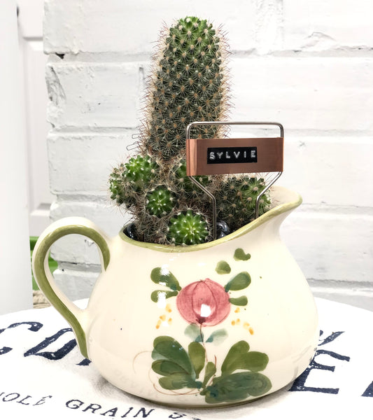 Elaine’s Retro Plants more & more & more