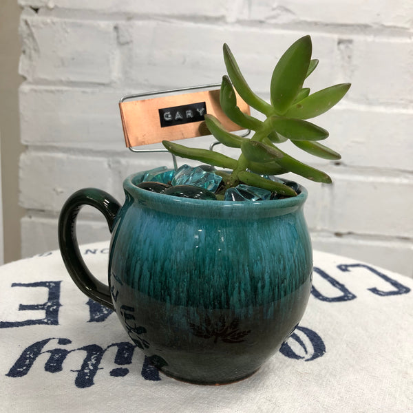 Elaine’s Retro Plants more & more & more & more