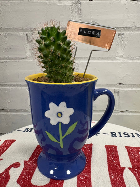 Elaine’s Retro Plants more & more & more & more