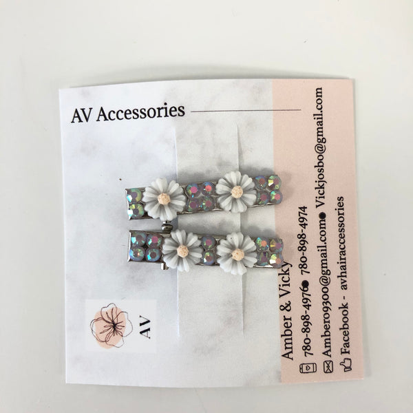 AV Accessories