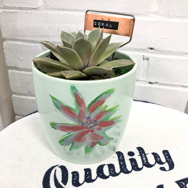 Elaine’s Retro Plants more & more & more & more