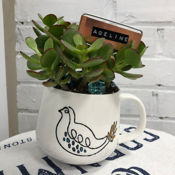 Elaine’s Retro Plants more & more & more & more