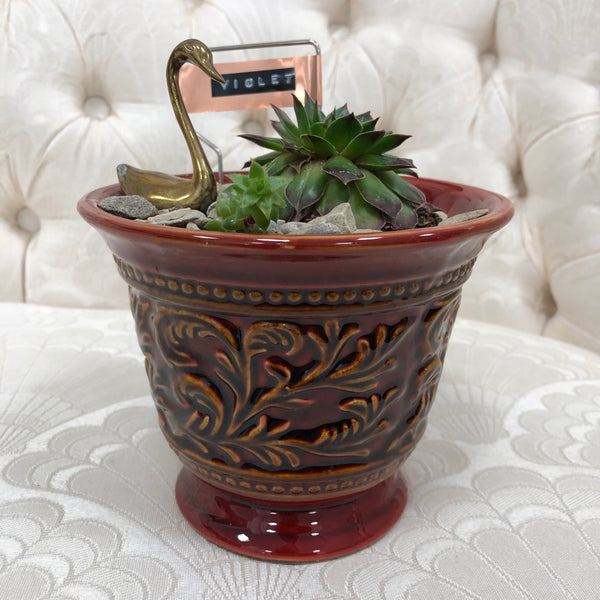 Elaine’s Retro Plants more & more