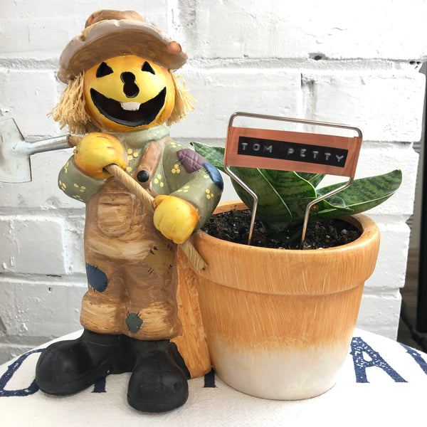 Elaine’s Retro Plants more