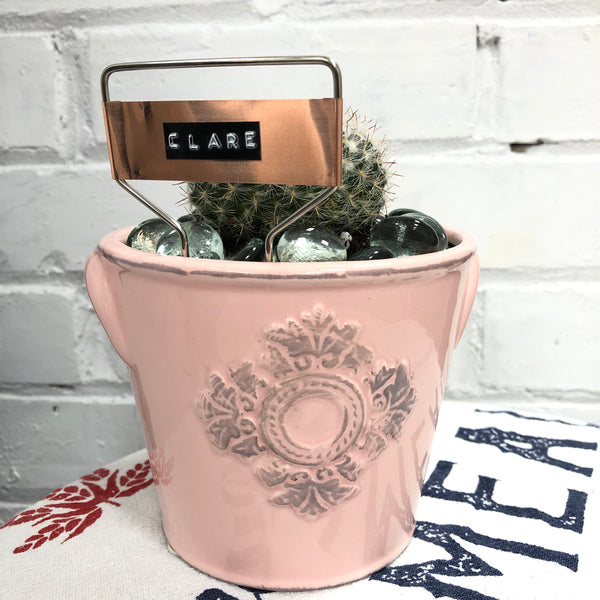 Elaine’s Retro Plants more & more
