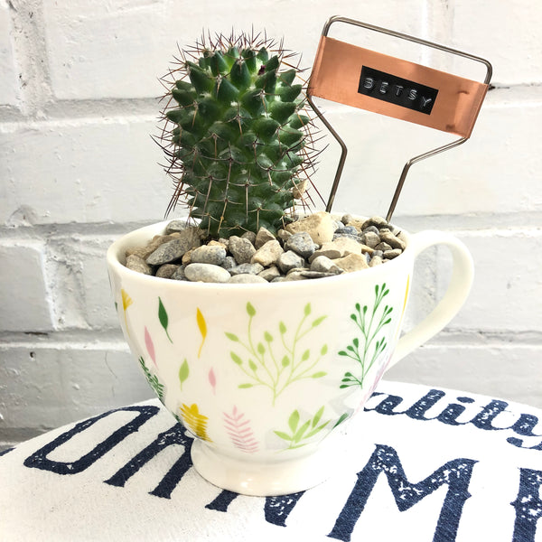 Elaine’s Retro Plants more