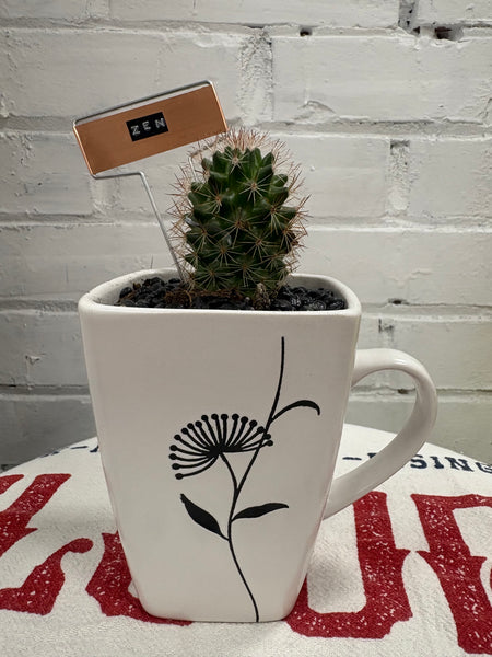 Elaine’s Retro Plants more & more & more & more