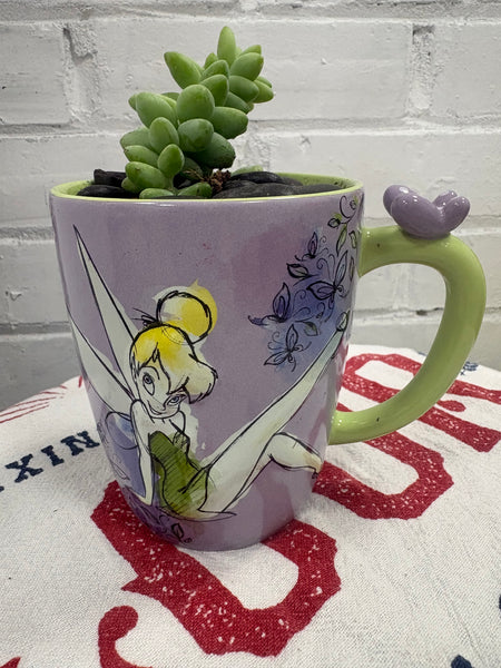 Elaine’s Retro Plants more & more & more & more