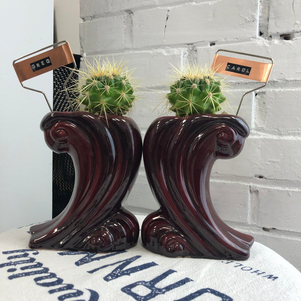 Elaine’s Retro Plants more & more