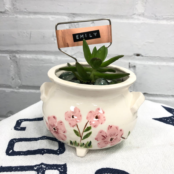 Elaine’s Retro Plants more & more