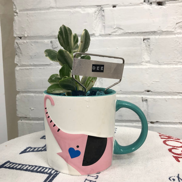 Elaine’s Retro Plants more & more & more & more