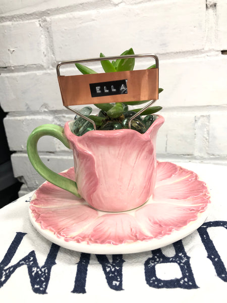 Elaine’s Retro Plants more & more
