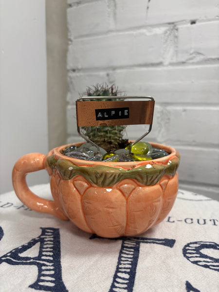 Elaine’s Retro Plants more & more & more & more