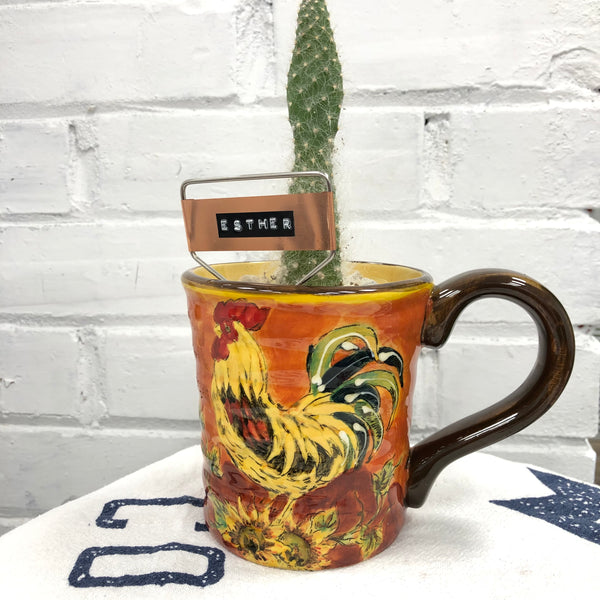 Elaine’s Retro Plants more & more