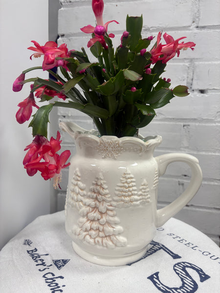 Elaine’s Retro Plants more & more & more & more