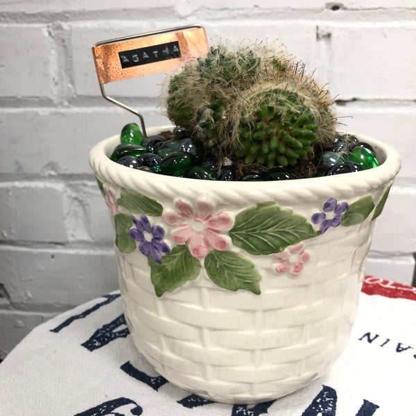 Elaine’s Retro Plants more & more