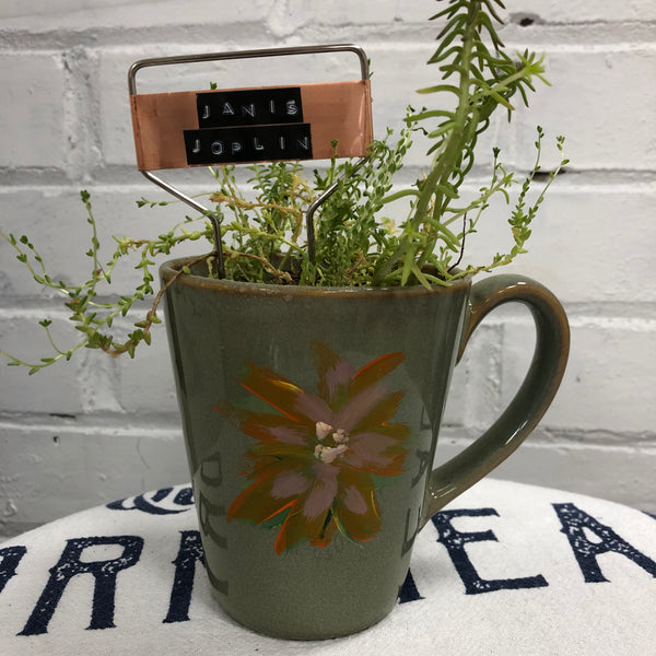 Elaine’s Retro Plants more