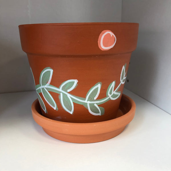 Terracotta Pot/Various Pot