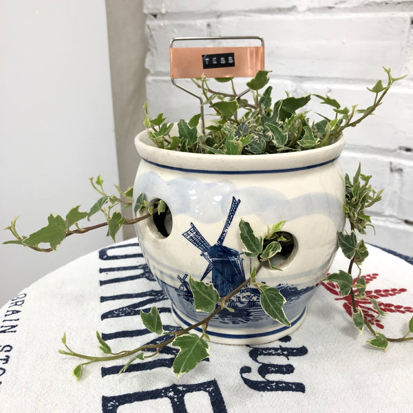 Elaine’s Retro Plants more & more & more & more