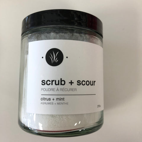 Scrub + Scour citrus mint