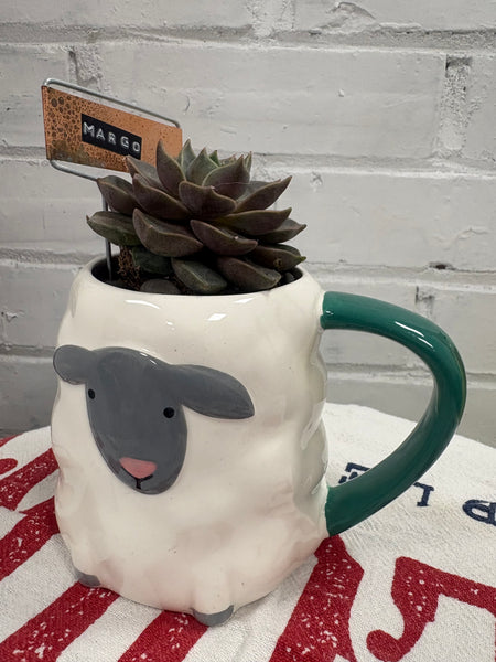 Elaine’s Retro Plants more & more & more & more