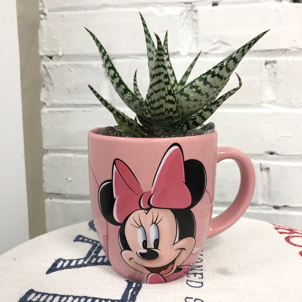Elaine’s Retro Plants more & more & more & more