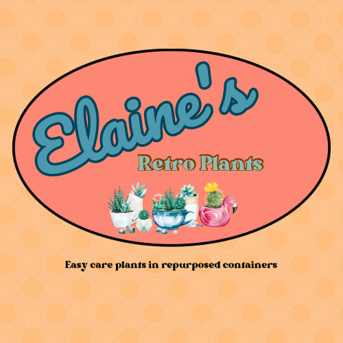 Elaine’s Retro Plants more & more & more